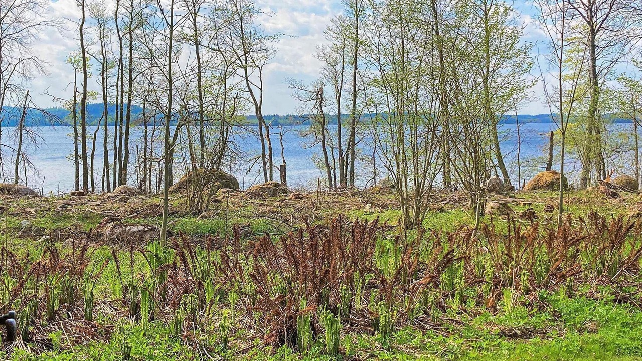 Photo of Outdoor in Braas