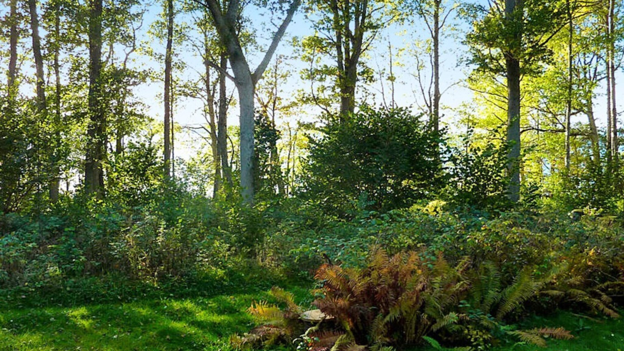 Photo of Outdoor in Braas