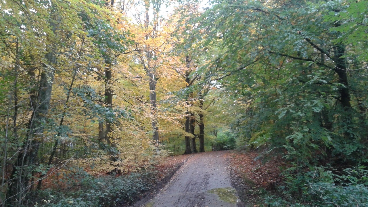 Photo of Outdoor in Jonstorp