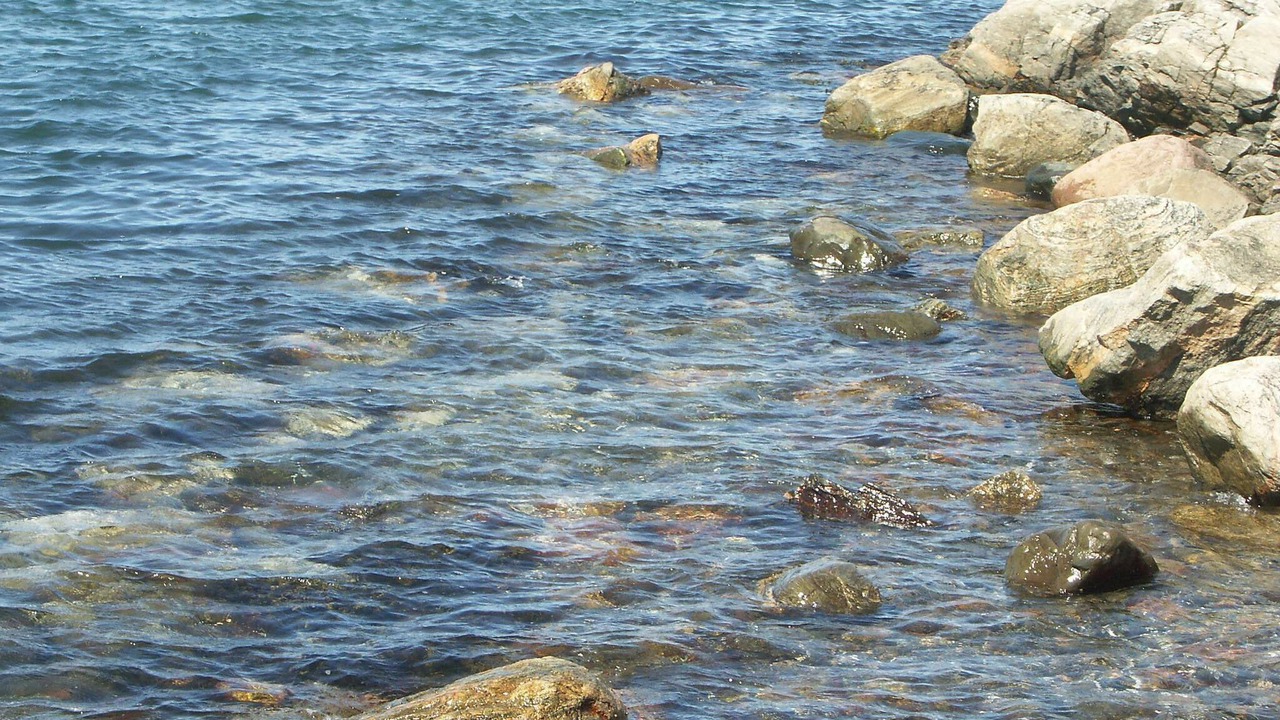 Photo of Others in Skaerhamn