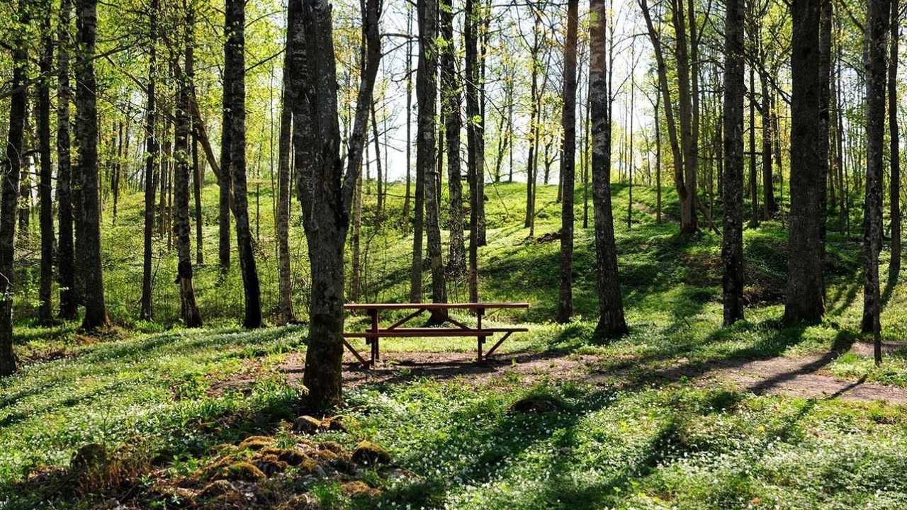 Photo of Outdoor in Dals Rostock