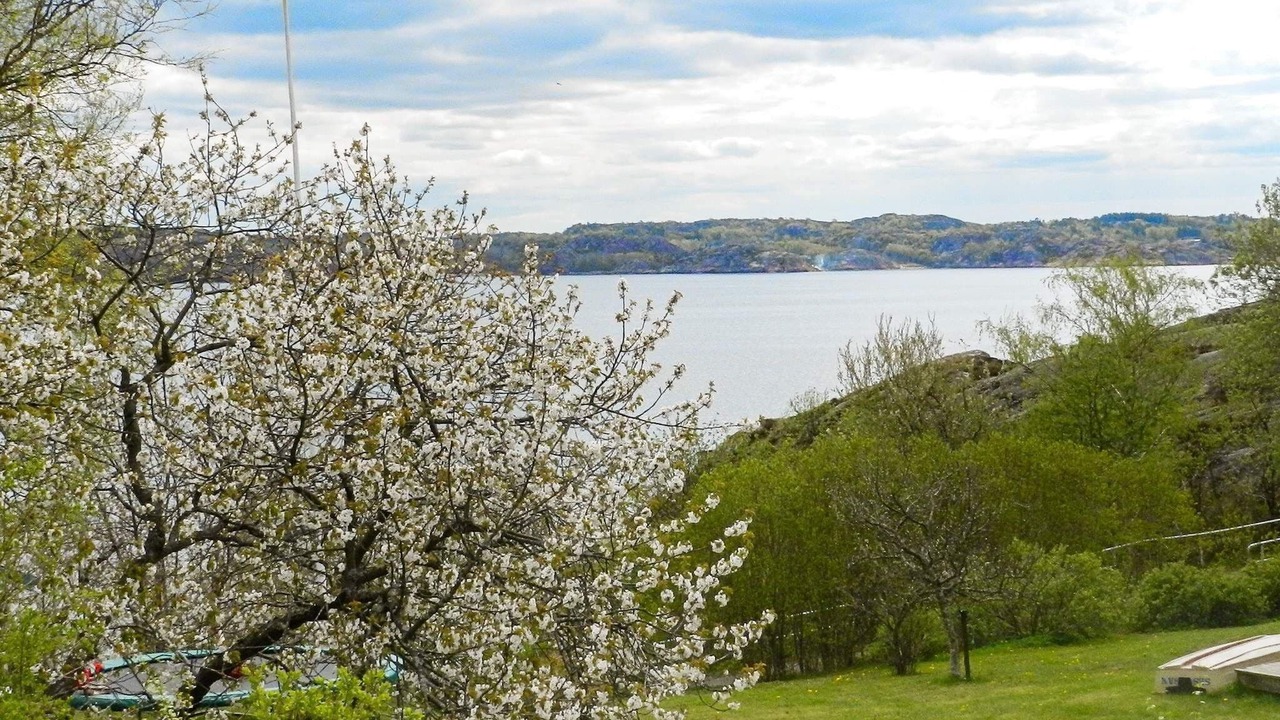 Photo of Others in Lysekil