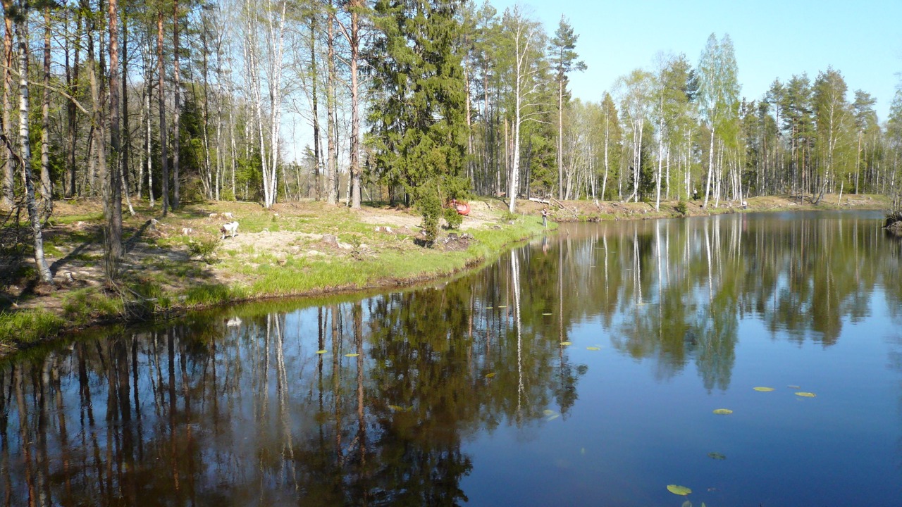 Photo of Outdoor in Langaryd