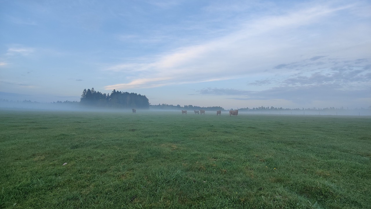 Photo of Others in Langaryd