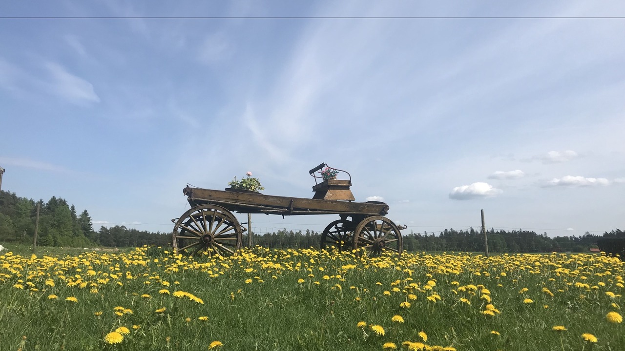 Photo of Others in Langaryd