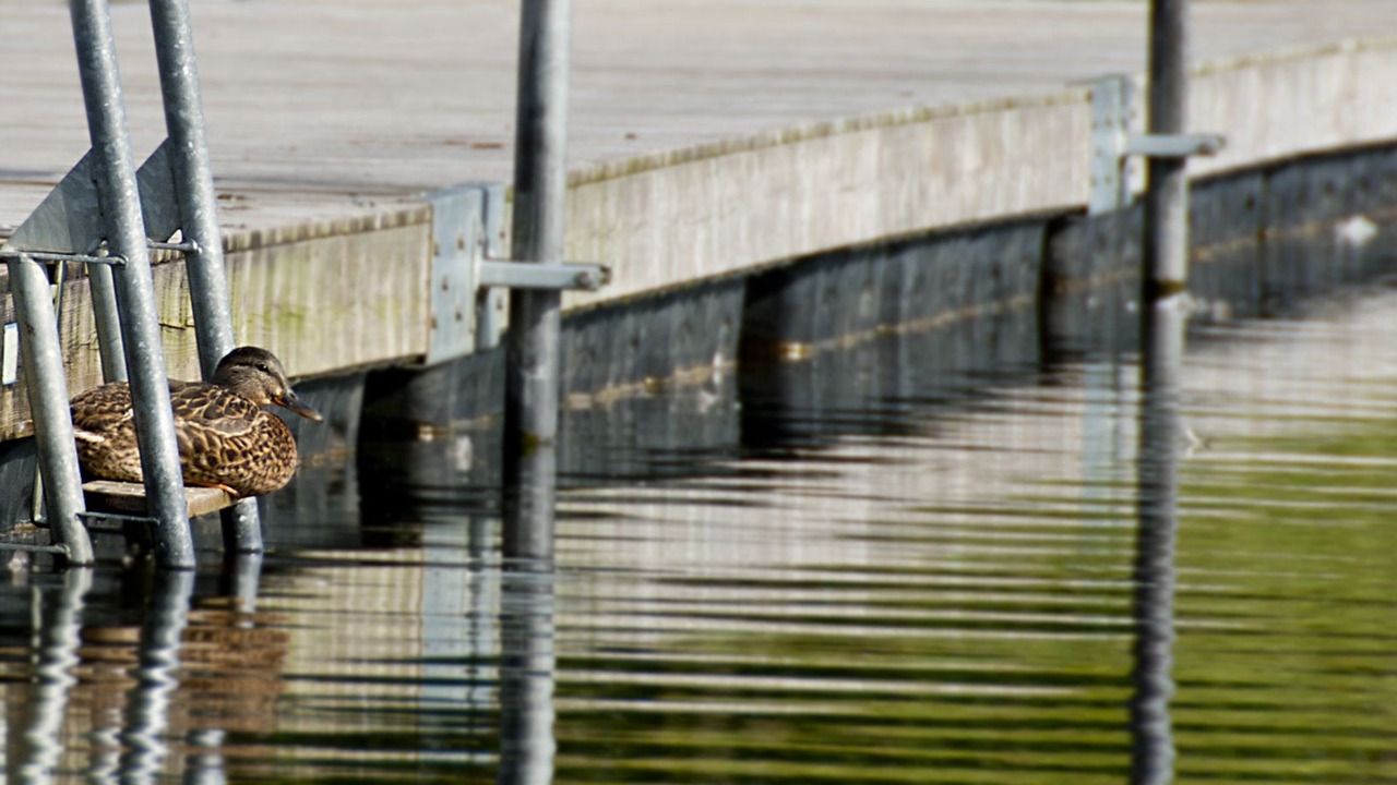 Photo of Outdoor in Karrdal