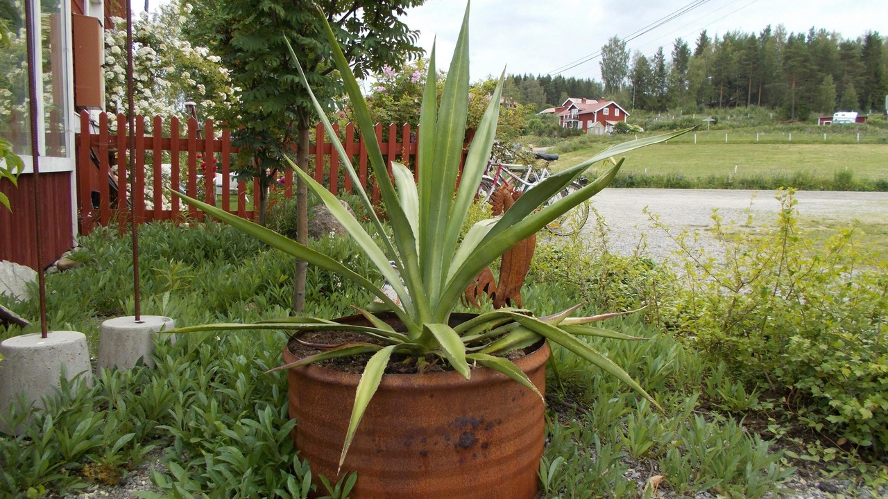 Photo of Outdoor in Jarvso
