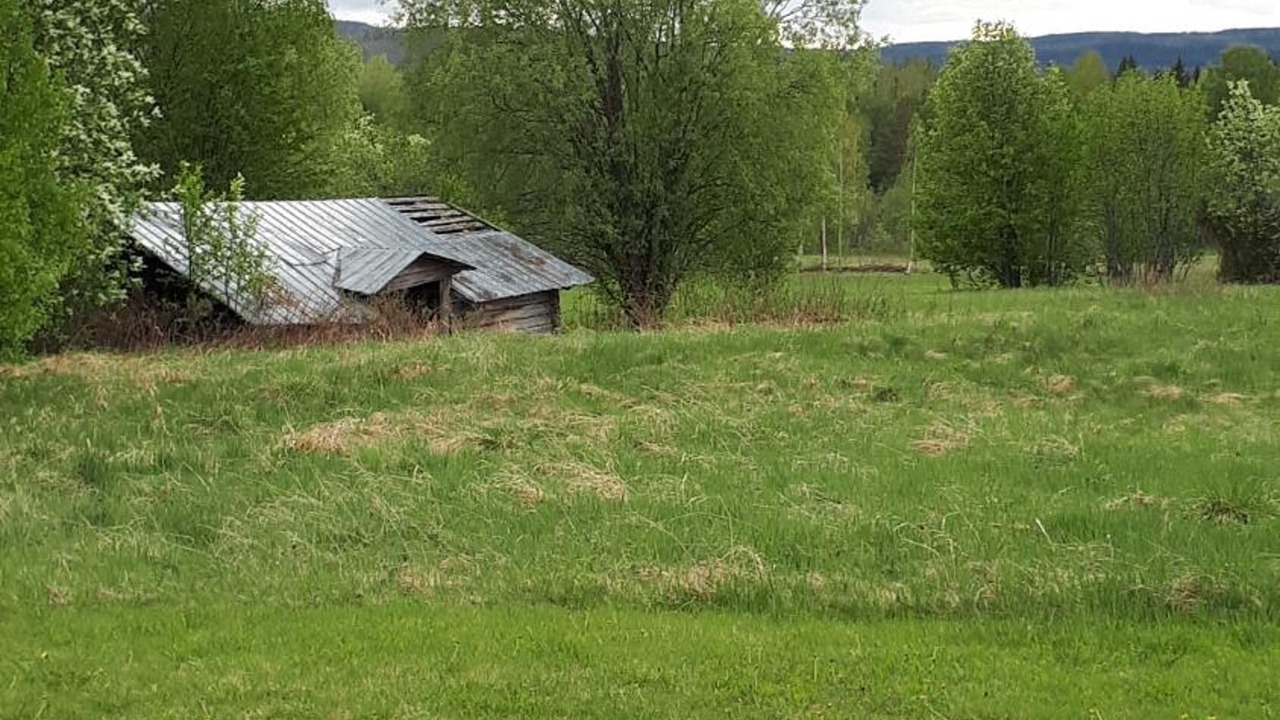 Photo of Outdoor in Bispgarden