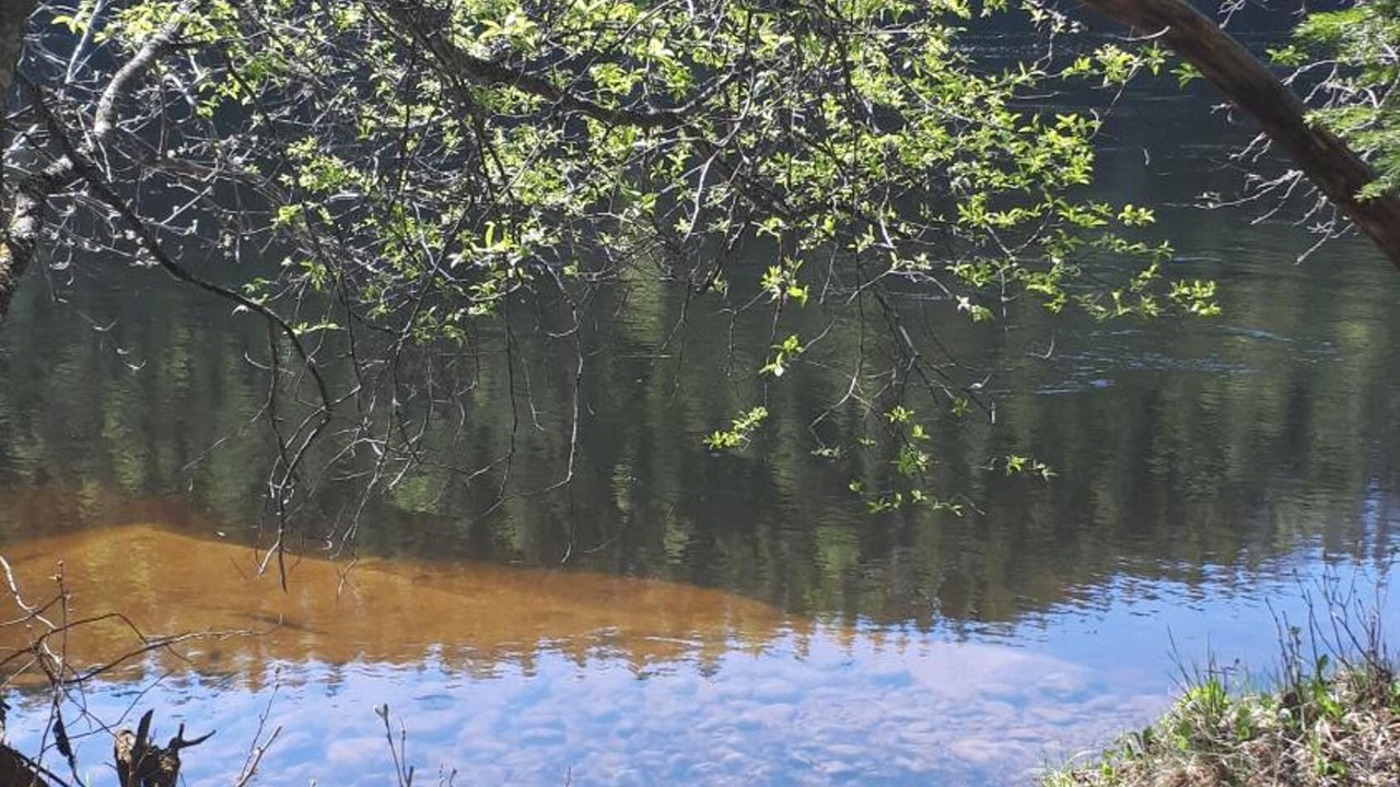 Photo of Outdoor in Bispgarden