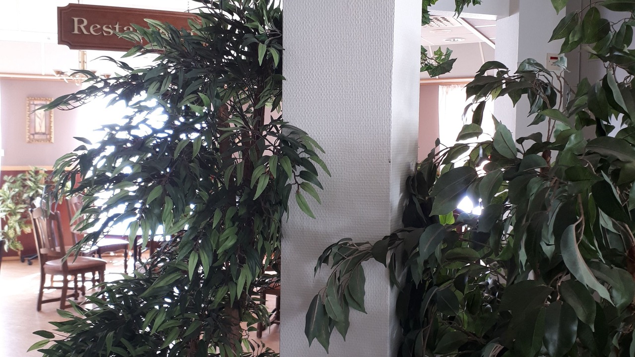 Photo of Others in Bispgarden