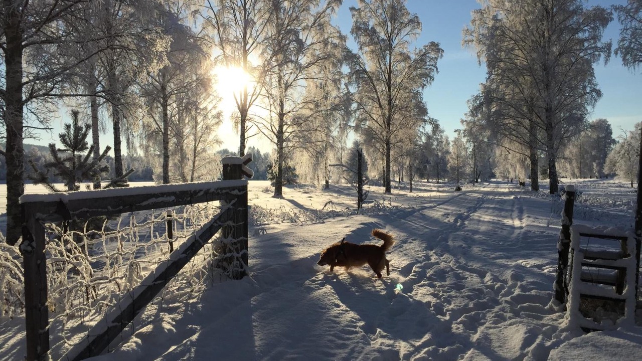 Photo of Outdoor in Jarvso