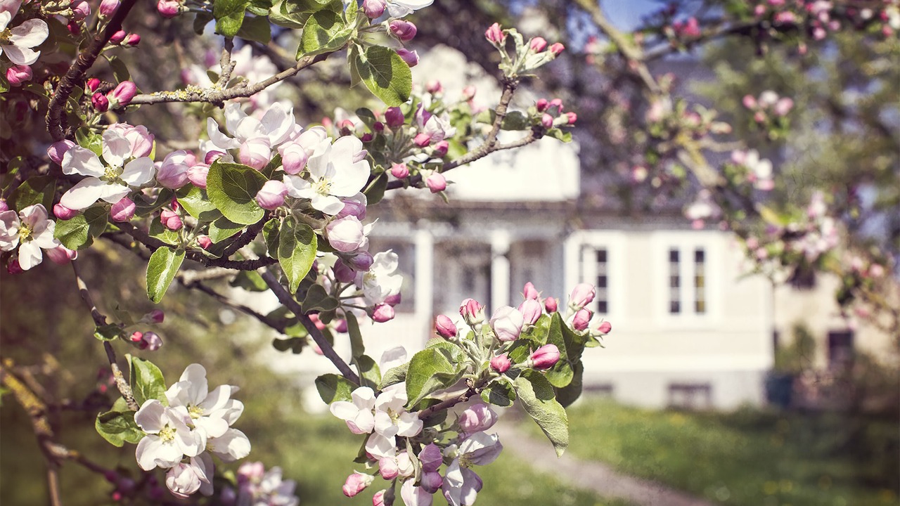 Photo of Outdoor in Gotland Municipality