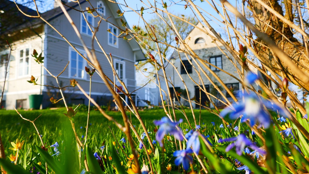 Photo of Outdoor in Gotland Municipality