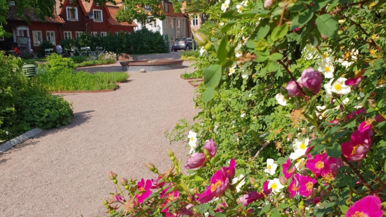 Photo of Outdoor in Hedemora