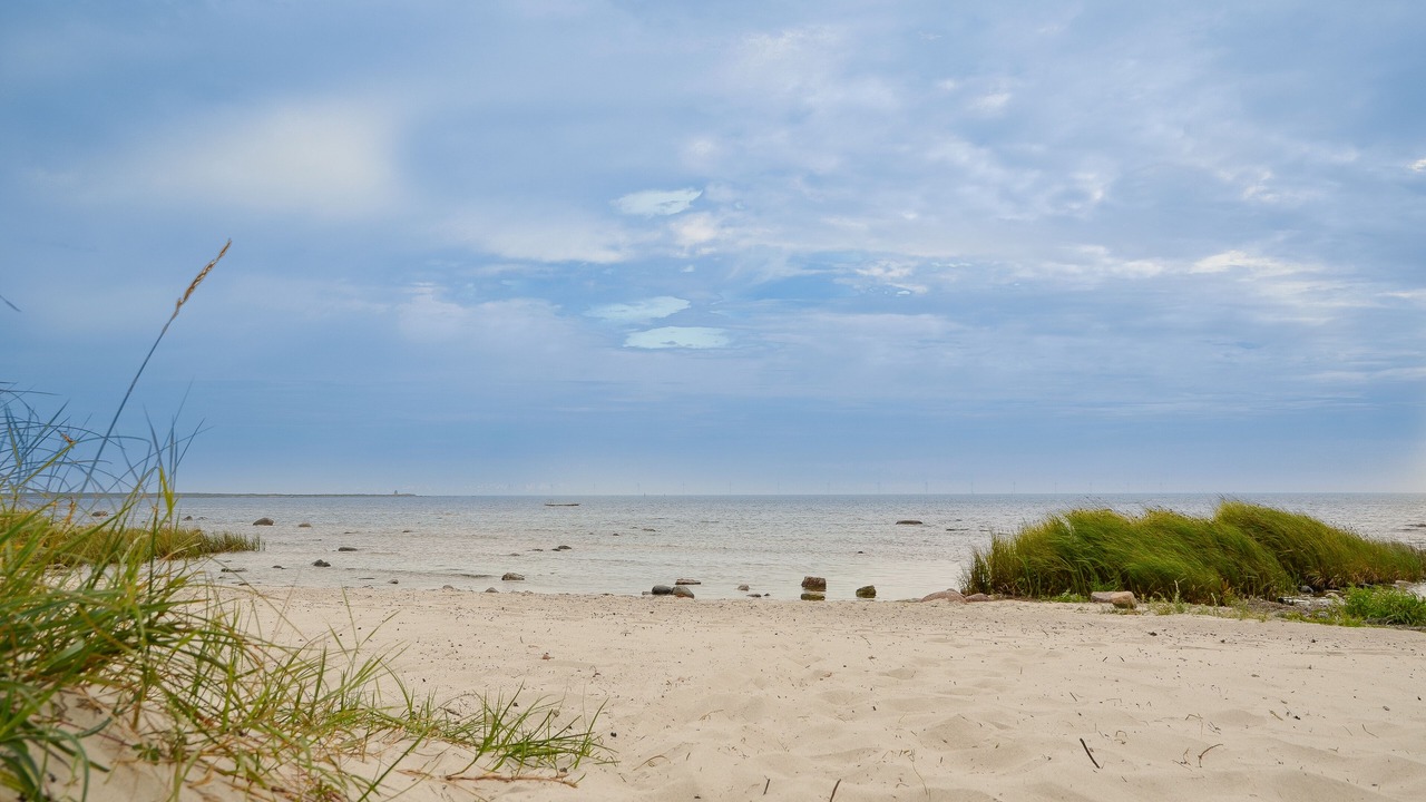 Photo of Others in Karehamn