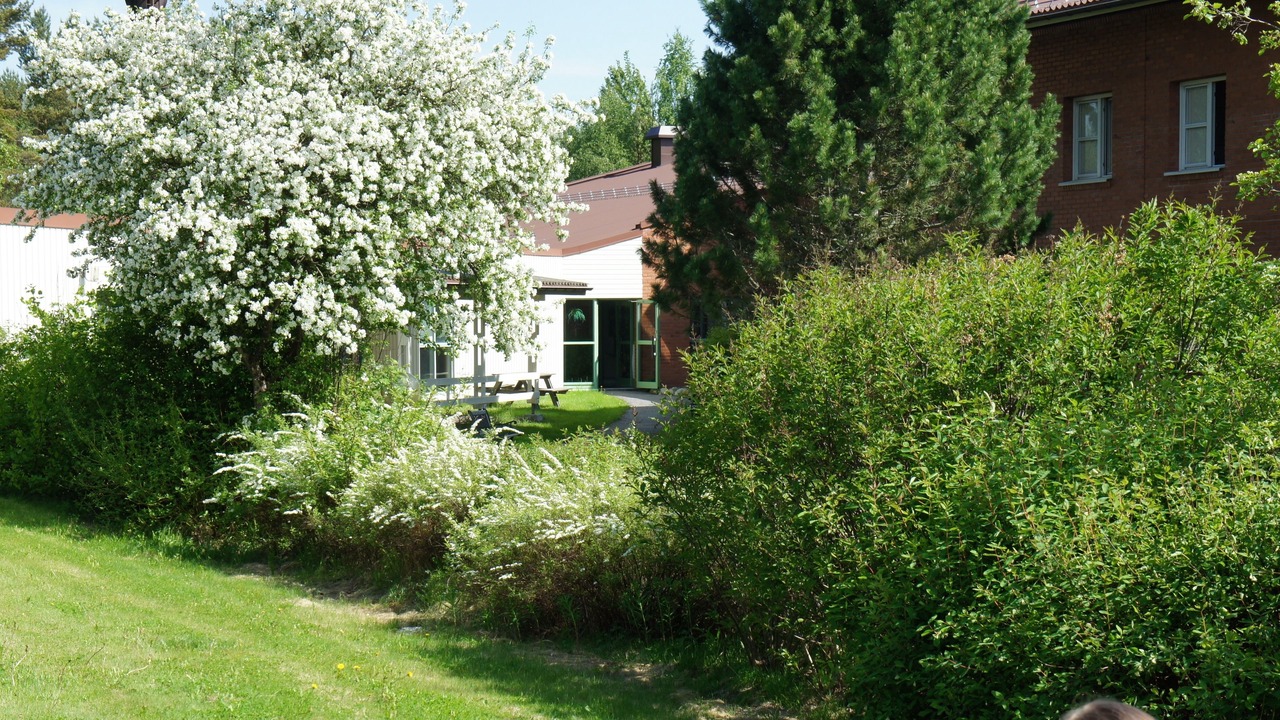 Photo of Outdoor in Vindeln