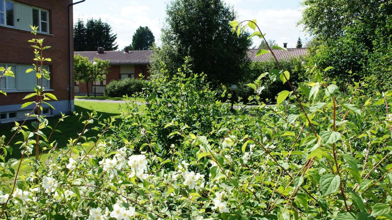 Photo of Outdoor in Vindeln