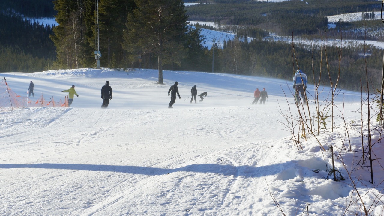 Photo of Others in Vindeln