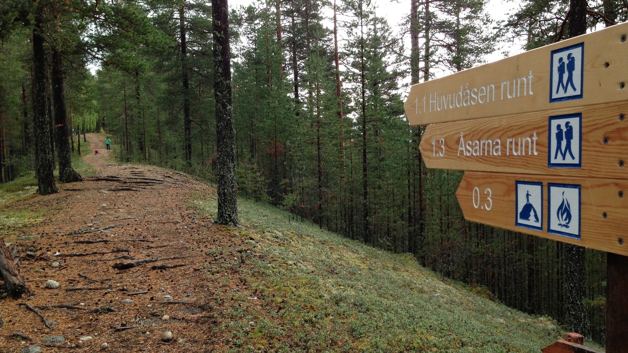 Photo of Outdoor in Vindeln