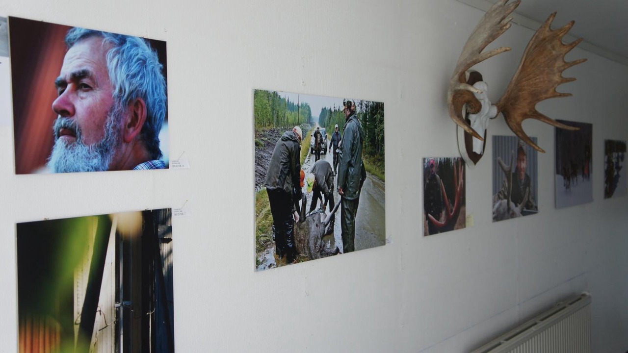 Photo of Others in Vindeln