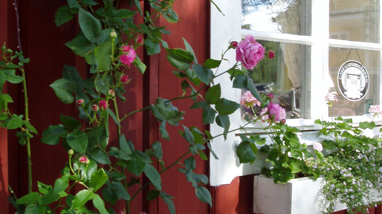 Photo of Outdoor in Askersund