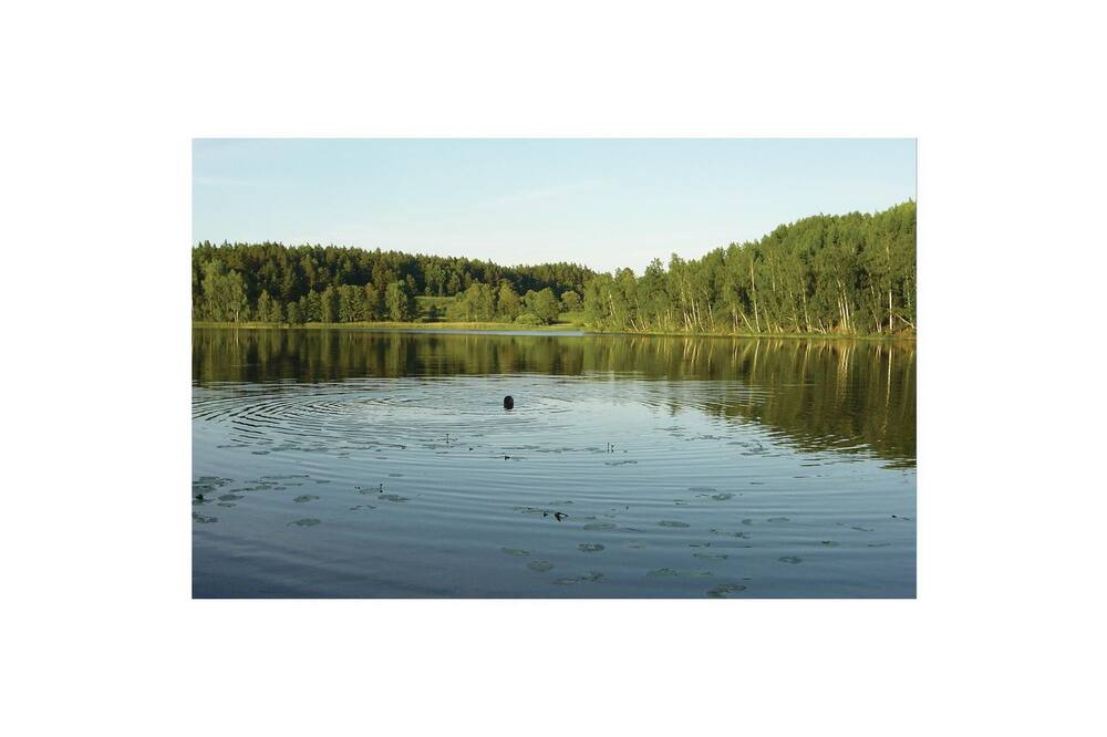 Photo of Others in Stjarnhov
