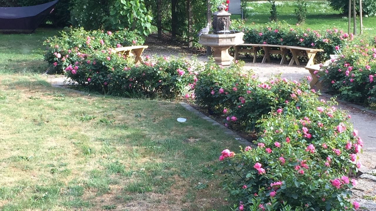 Photo of Outdoor in Garsnas