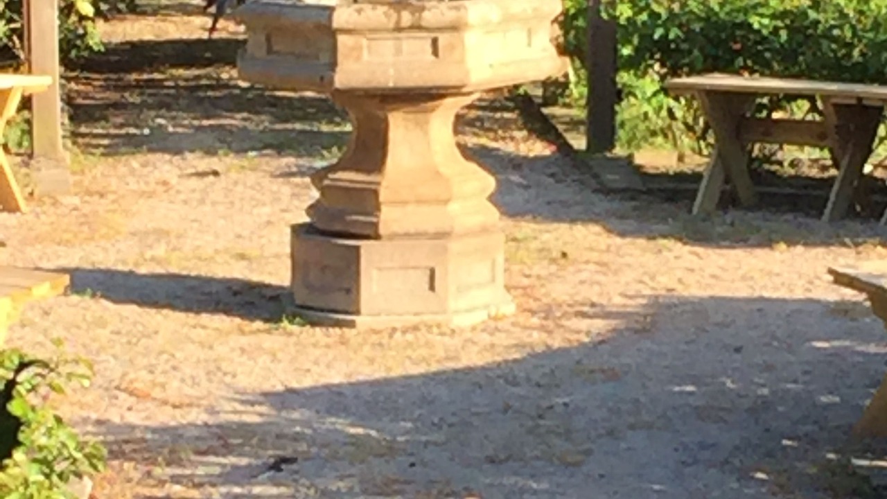 Photo of Outdoor in Garsnas