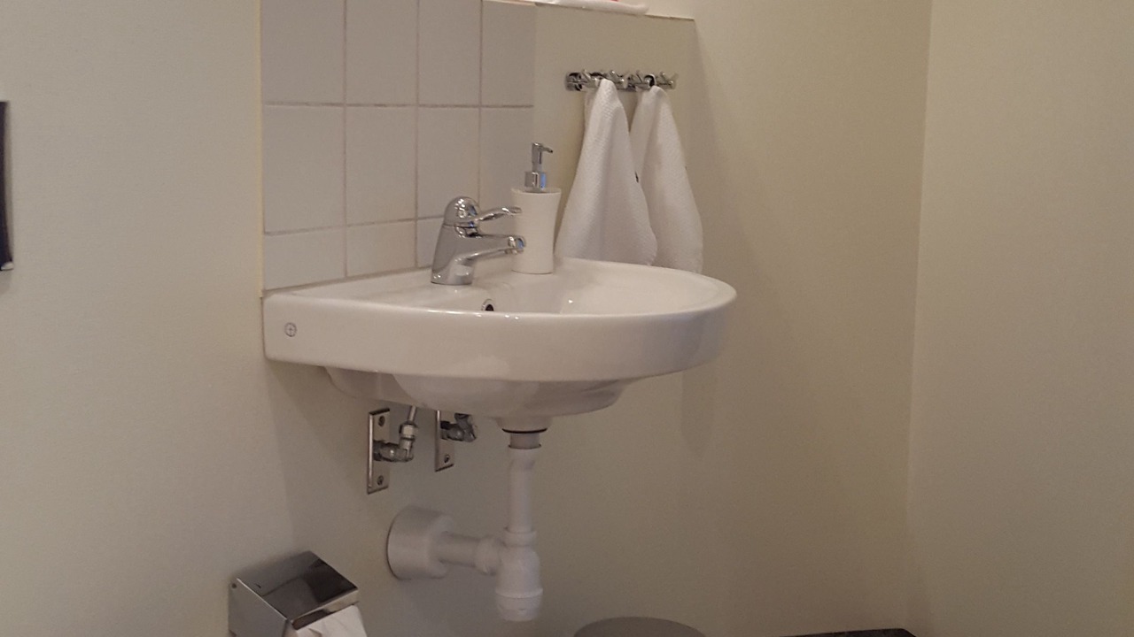 Photo of Bathroom in Borrby