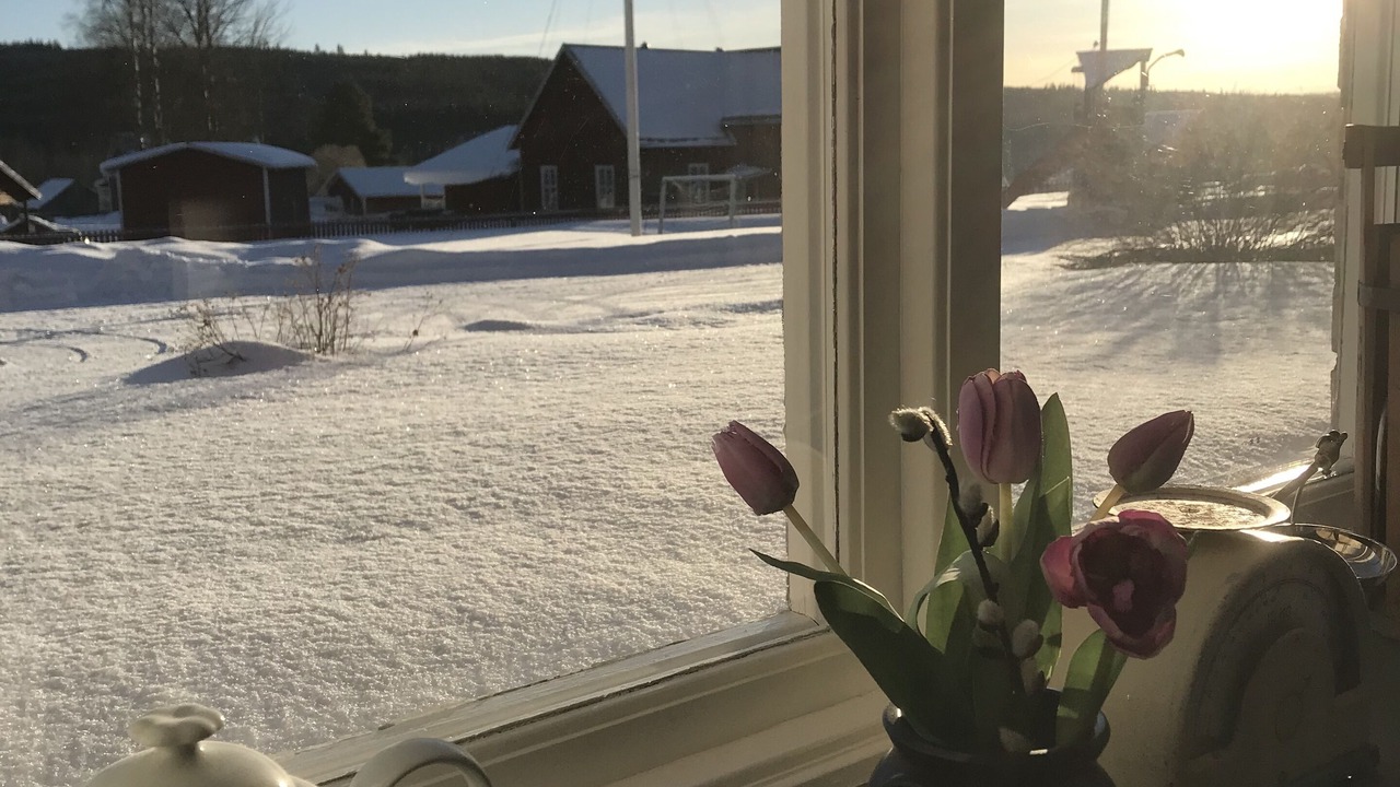 Photo of Outdoor in Alvdalen