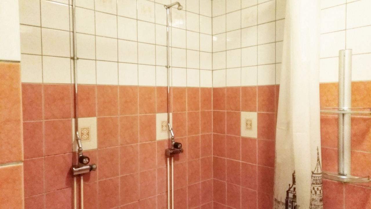 Photo of Bathroom in Svenstavik