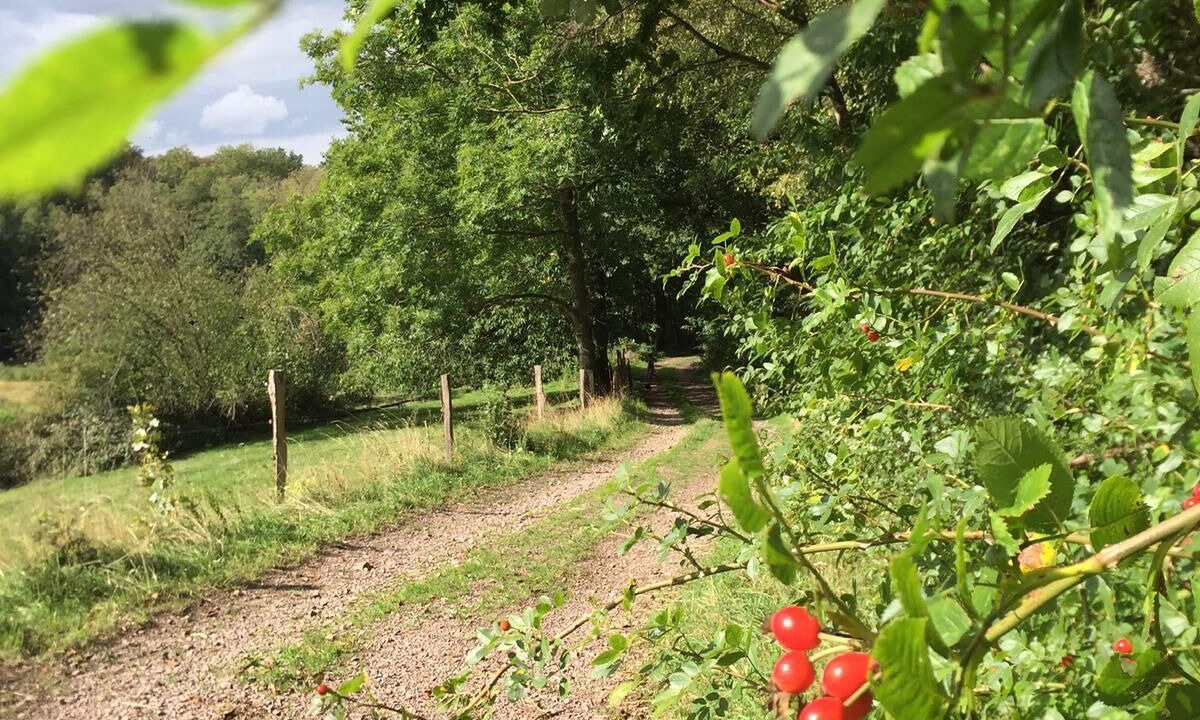 Photo of Outdoor in Loberod