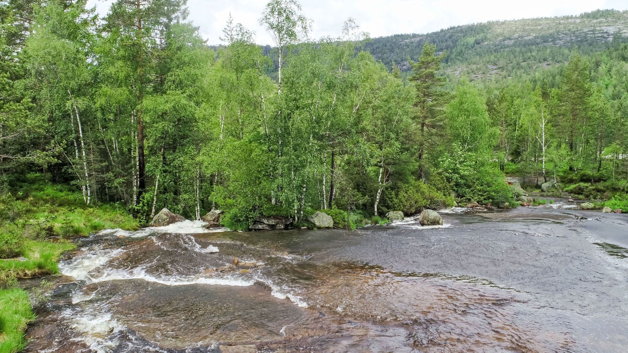 Photo of Outdoor in Nissedal