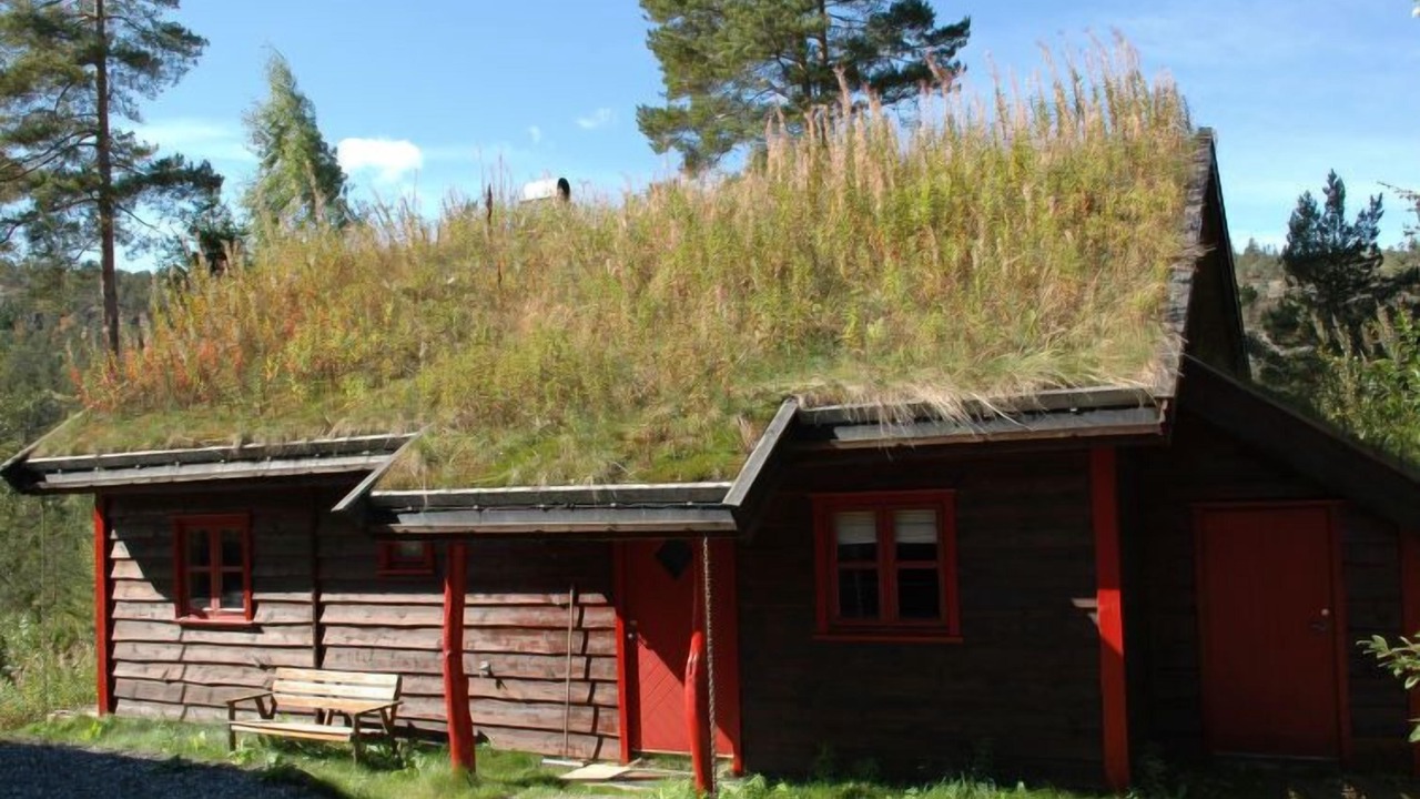Photo of Outdoor in Nissedal