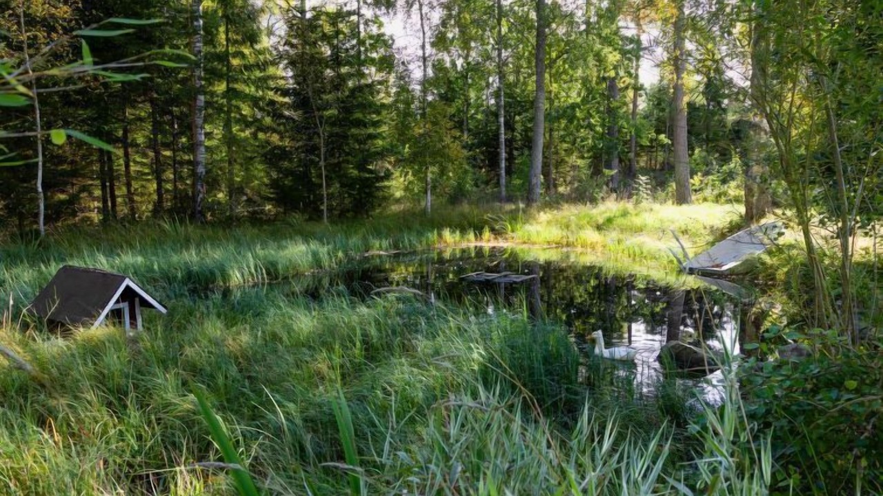 Photo of Outdoor in Fargelanda