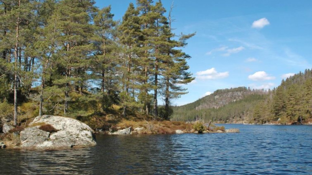 Photo of Others in Sør-audnedal