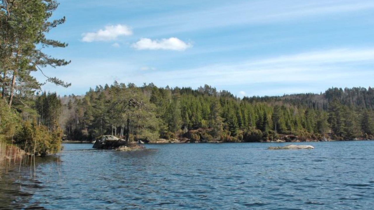 Photo of Outdoor in Sør-audnedal