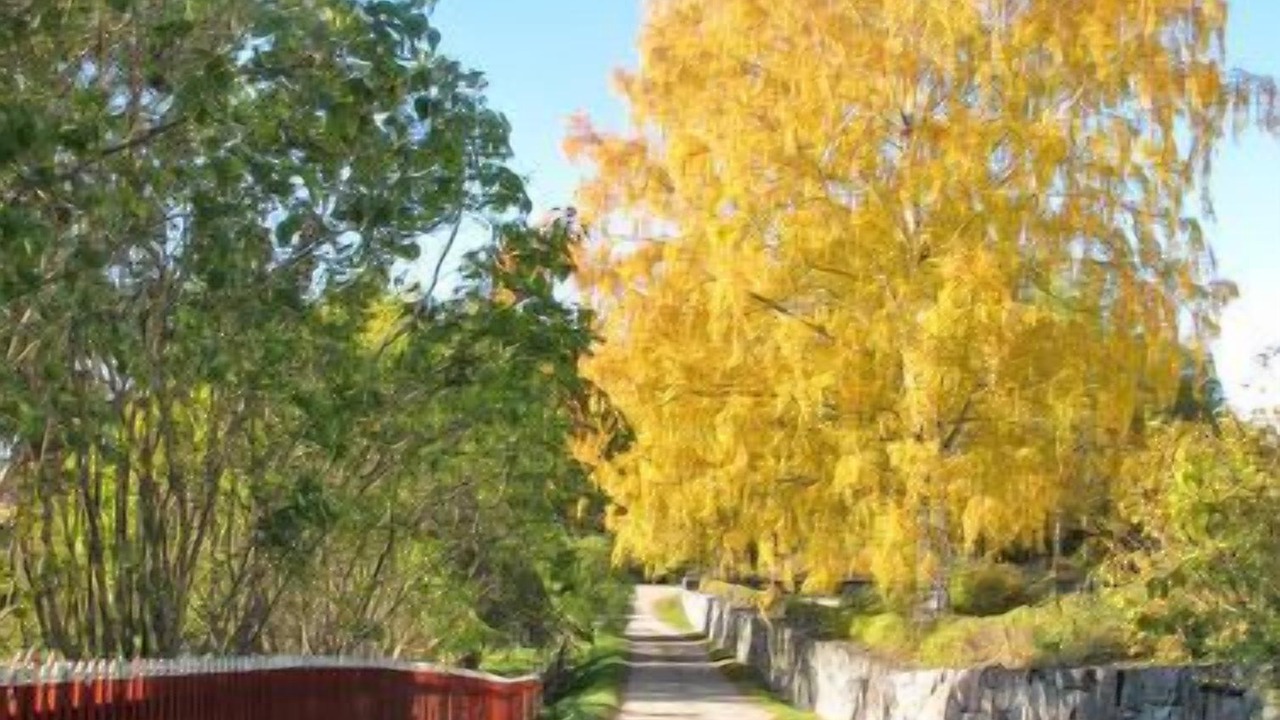 Photo of Outdoor in Adelso