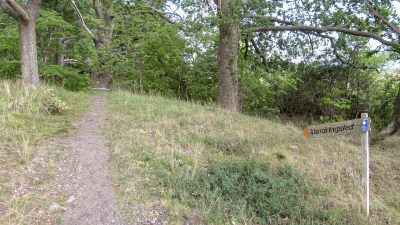 Photo of Outdoor in Vikbolandet