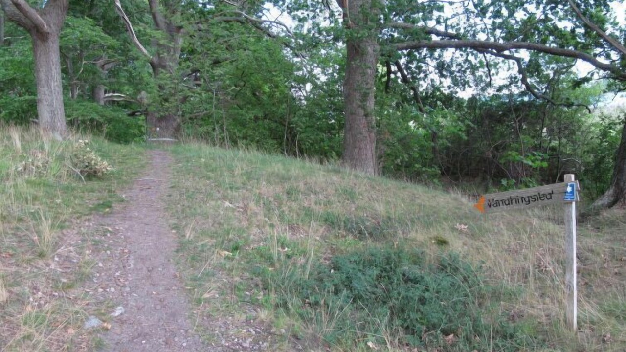 Photo of Outdoor in Vikbolandet