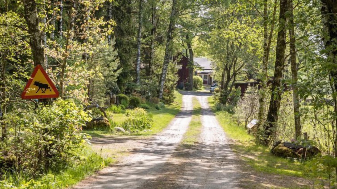 Photo of Outdoor in Karl Gustav