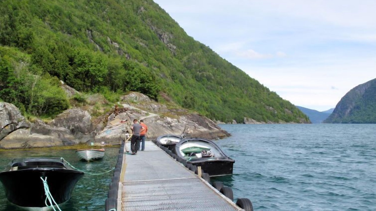 Photo of Others in Vik