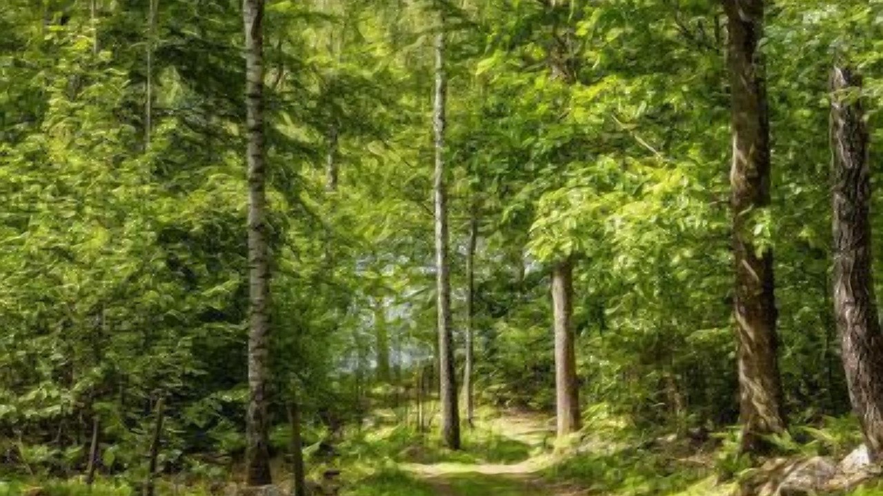 Photo of Others in Olofstrom