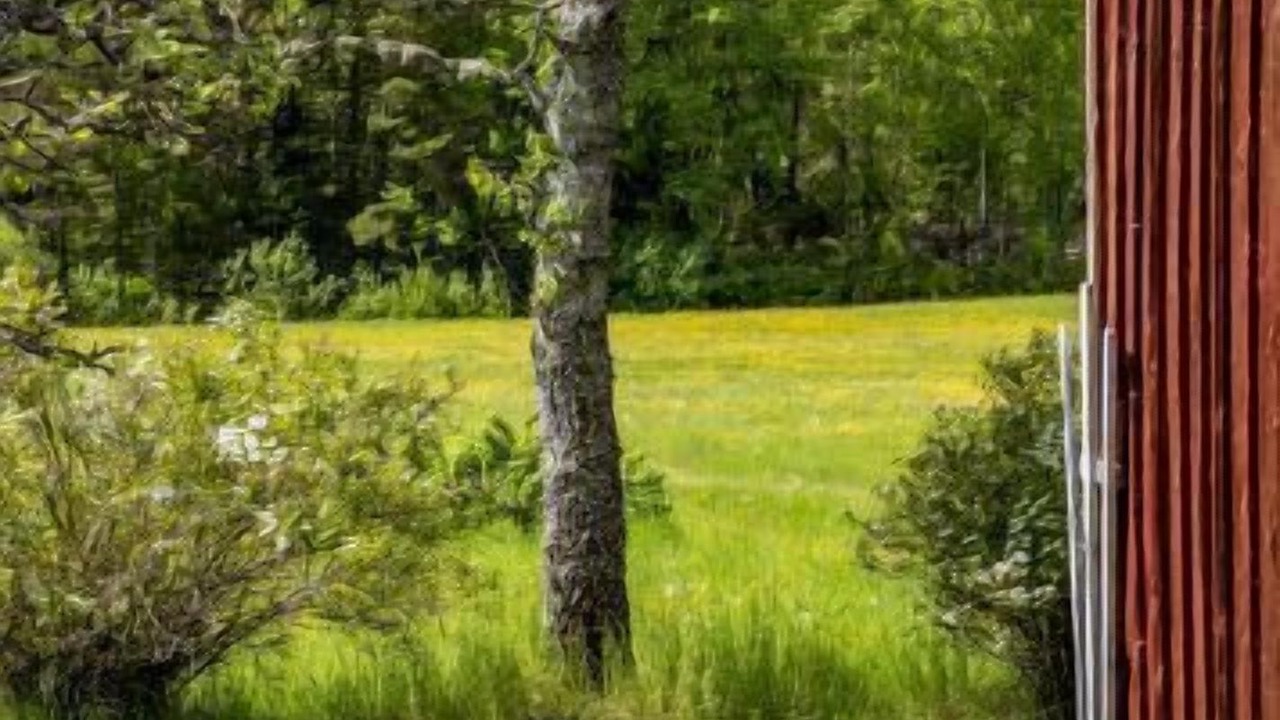 Photo of Outdoor in Animskog