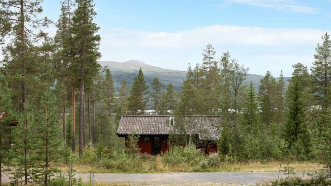 Photo of Outdoor in Lofsdalen