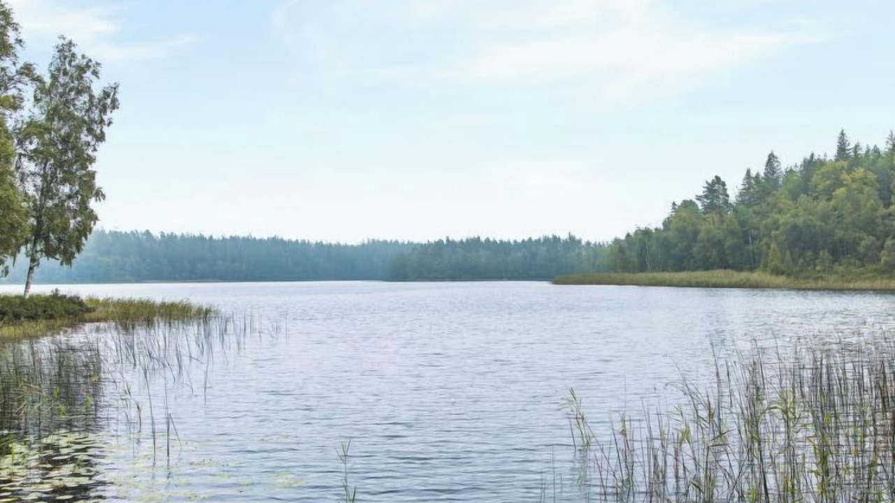 Photo of Others in Eringsboda