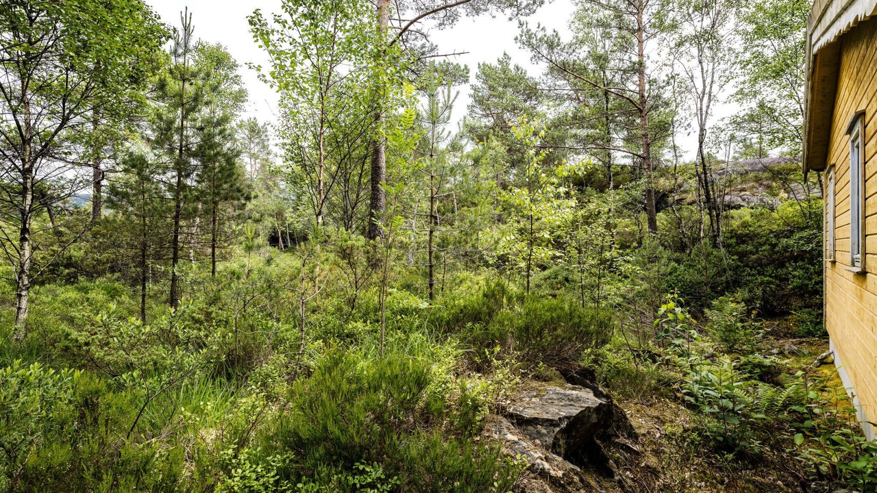 Photo of Outdoor in Fjaler