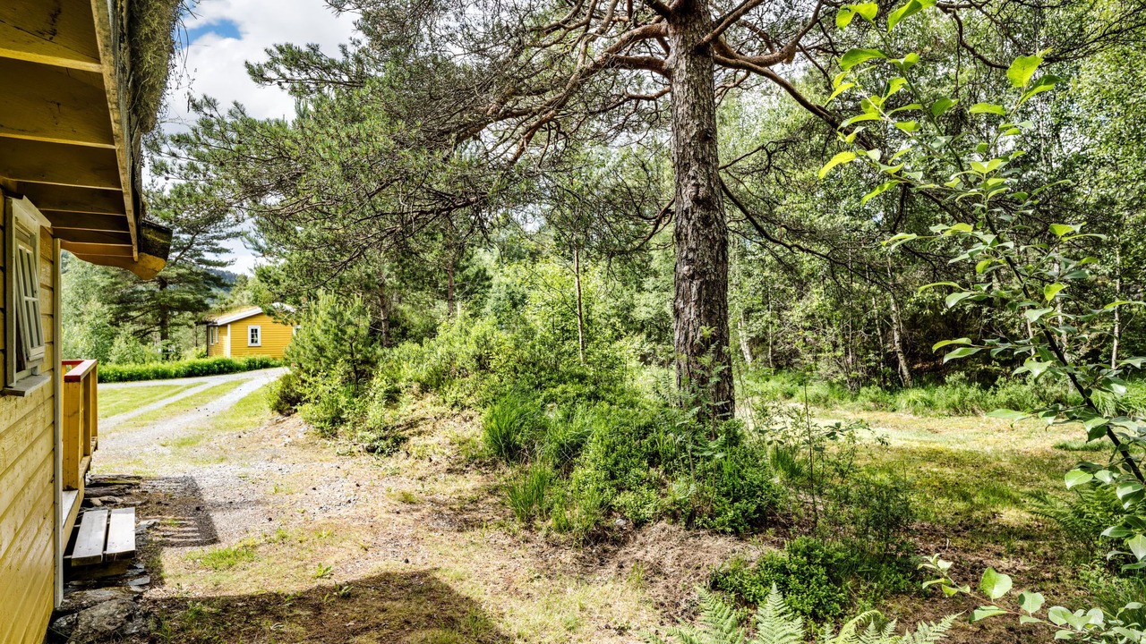 Photo of Outdoor in Fjaler