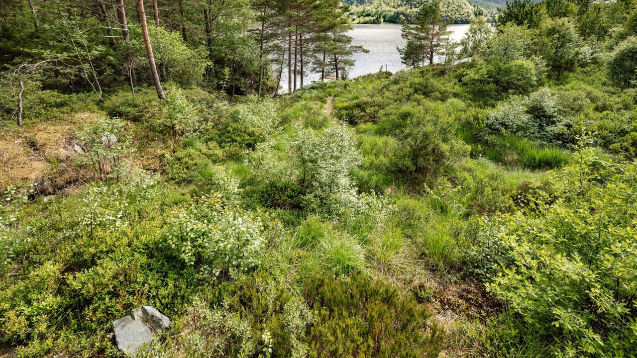 Photo of Outdoor in Fjaler