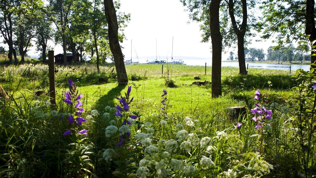 Photo of Outdoor in Norrtalje Municipality
